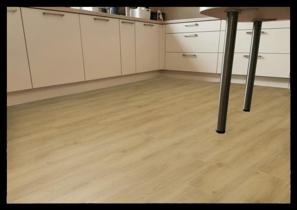 Aspecta Vinylboden Essentials Planke GD30 Earl GD3020PL41723