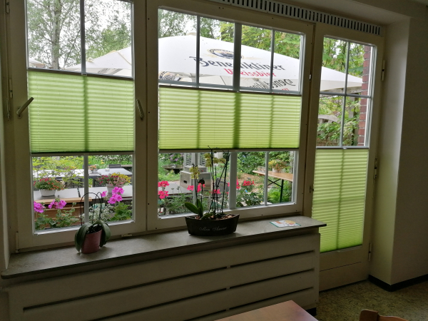 Plissee Faltstore auf Maß günstig in der Region Uelzen kaufen Plissee Faltstore auf Maß günstig in der Region Uelzen kaufen