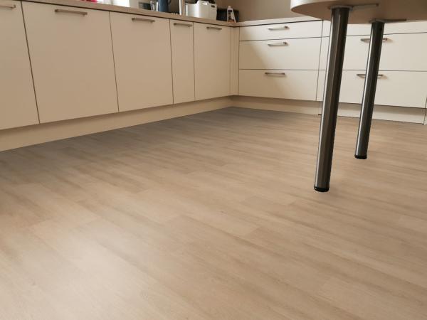 Aspecta Vinylboden Essentials Planke GD30 Orlo GD3020PL20105