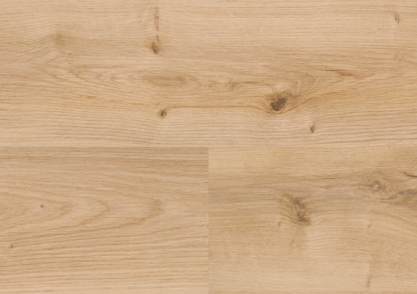PLC299R Intensive Oak Honey