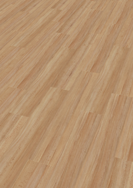 Enia Nantes und Nauders Beech Enia Nantes und Nauders Beech