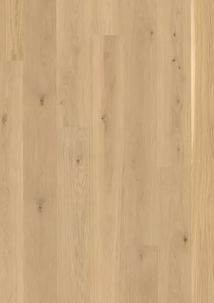 JOKA CALGARY 527 LD – E3404 Eiche nova geb. NATURE VP