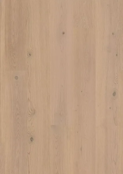 JOKA CALGARY 527 LD – E3407 Eiche topas geb. NATURE VP