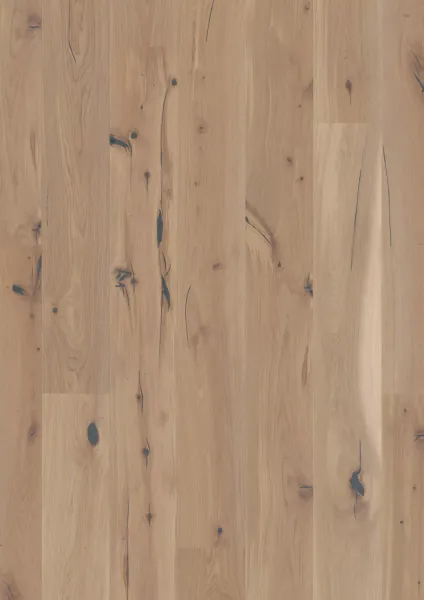 JOKA CALGARY 527 LD – E8414 Eiche creme gebürstet Country ÖL