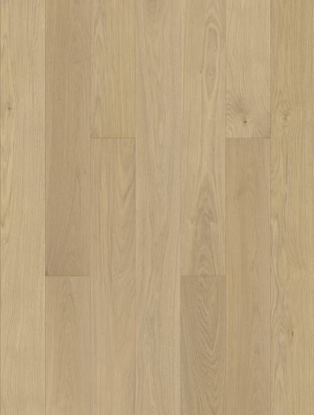 JOKA Parkett CALGARY 435LD – E0214 Eiche creme Elegance