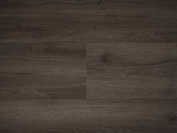 Republic Floor Crocodile Crazeee REAUCC002