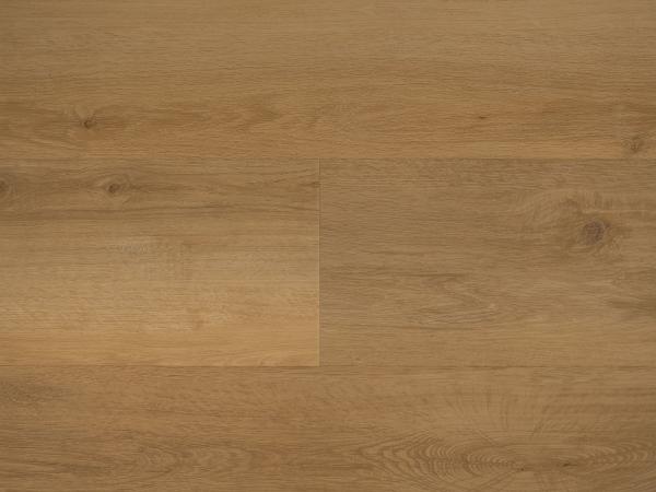 Republic Floor Lost RENACG007