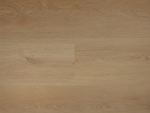 Republic Floor Fly RENACG010