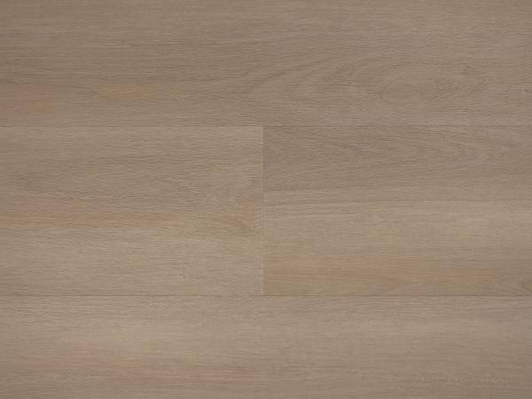 Republic Floor Bug RENACG011