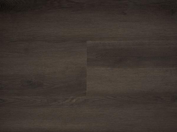 Republic Floor Buzz RENACG015