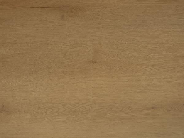 Republic Floor Woke RENACG017-LVT