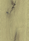 Klostereiche 020745405