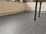 Ash Grey 4V 69Am80E