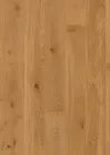 JOKA CALGARY 527 LD – E3409 Eiche amber geb. NATURE VP